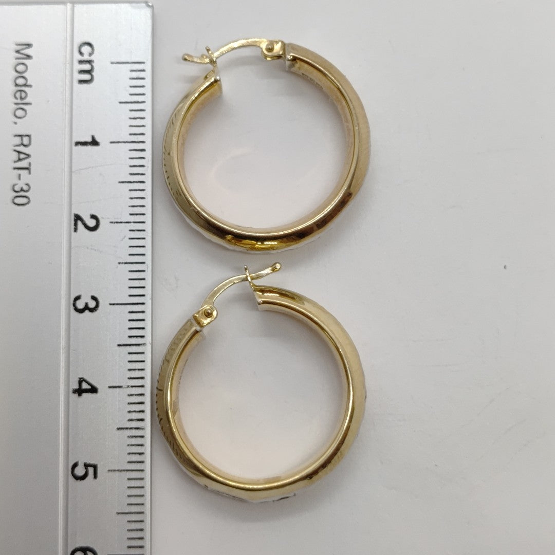 ARRACADAS PAR ORO 10 K 3.8 GRMS (SEMINUEVO)
