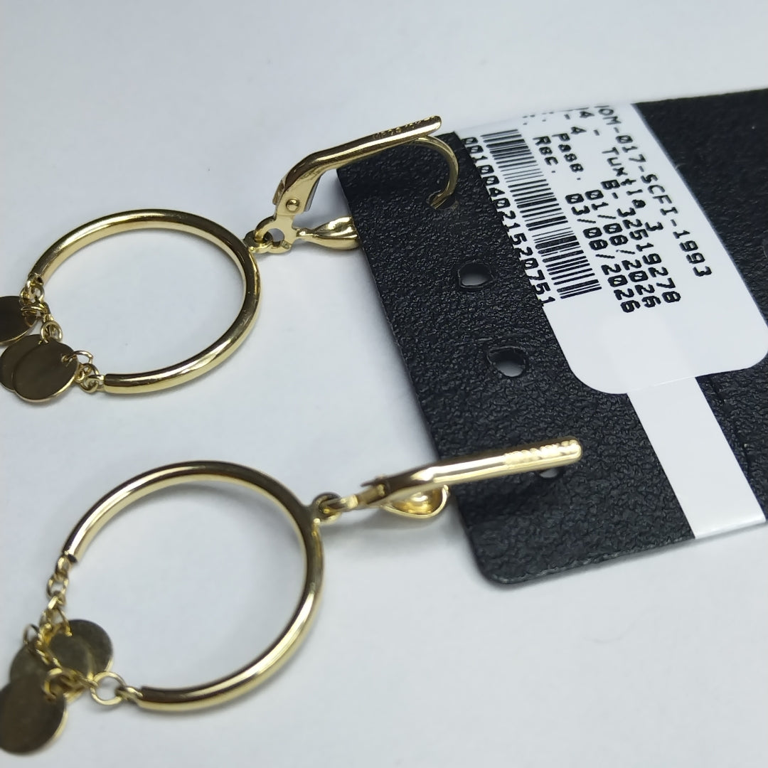 ARETES PAR ORO 10 K 2,10 GRMS (SEMINUEVO)