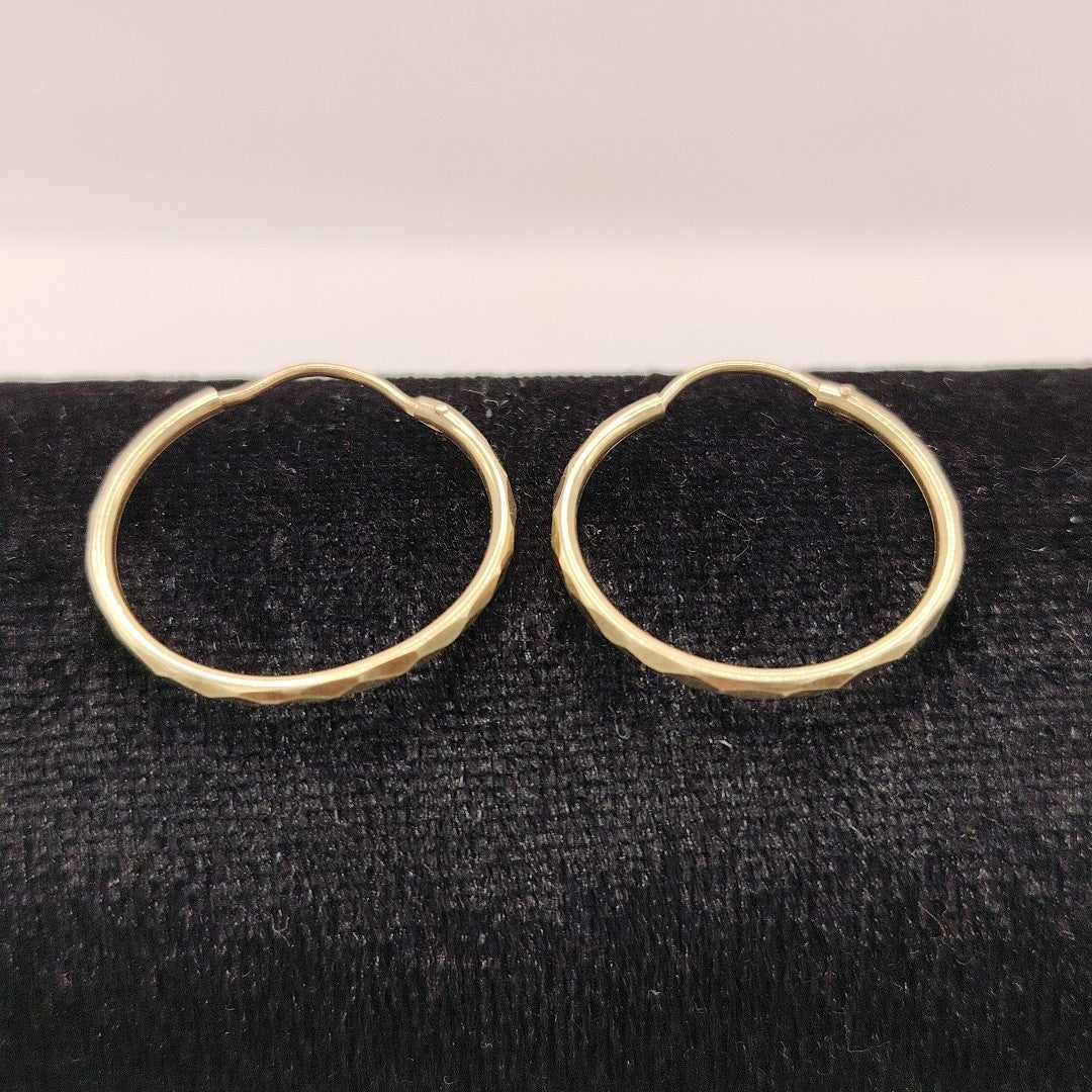 ARETES PAR ORO 10 K 1.2 GRMS (SEMINUEVO)