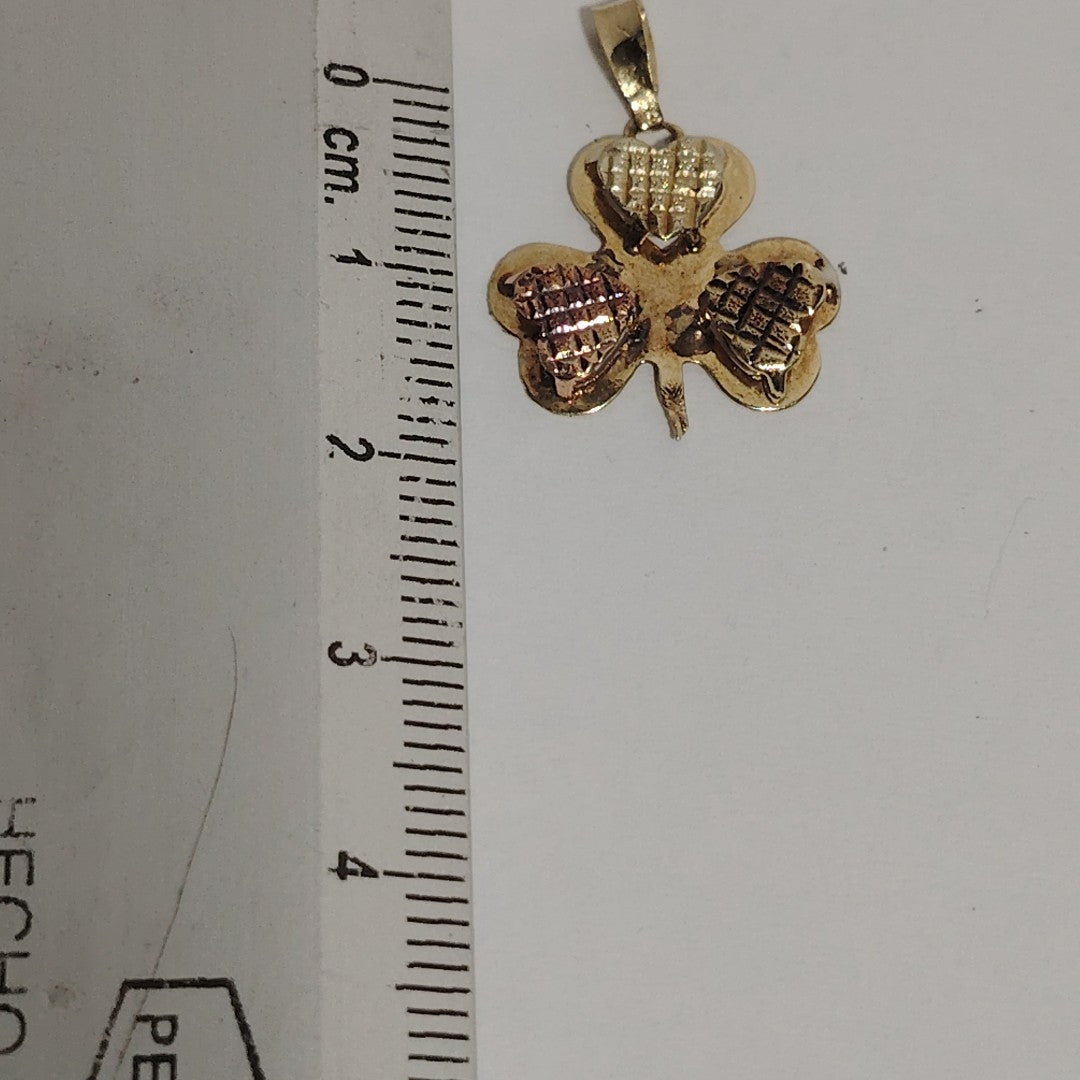 DIJE ORO COMBINADO 10 K 0.7 GRMS (SEMINUEVO)