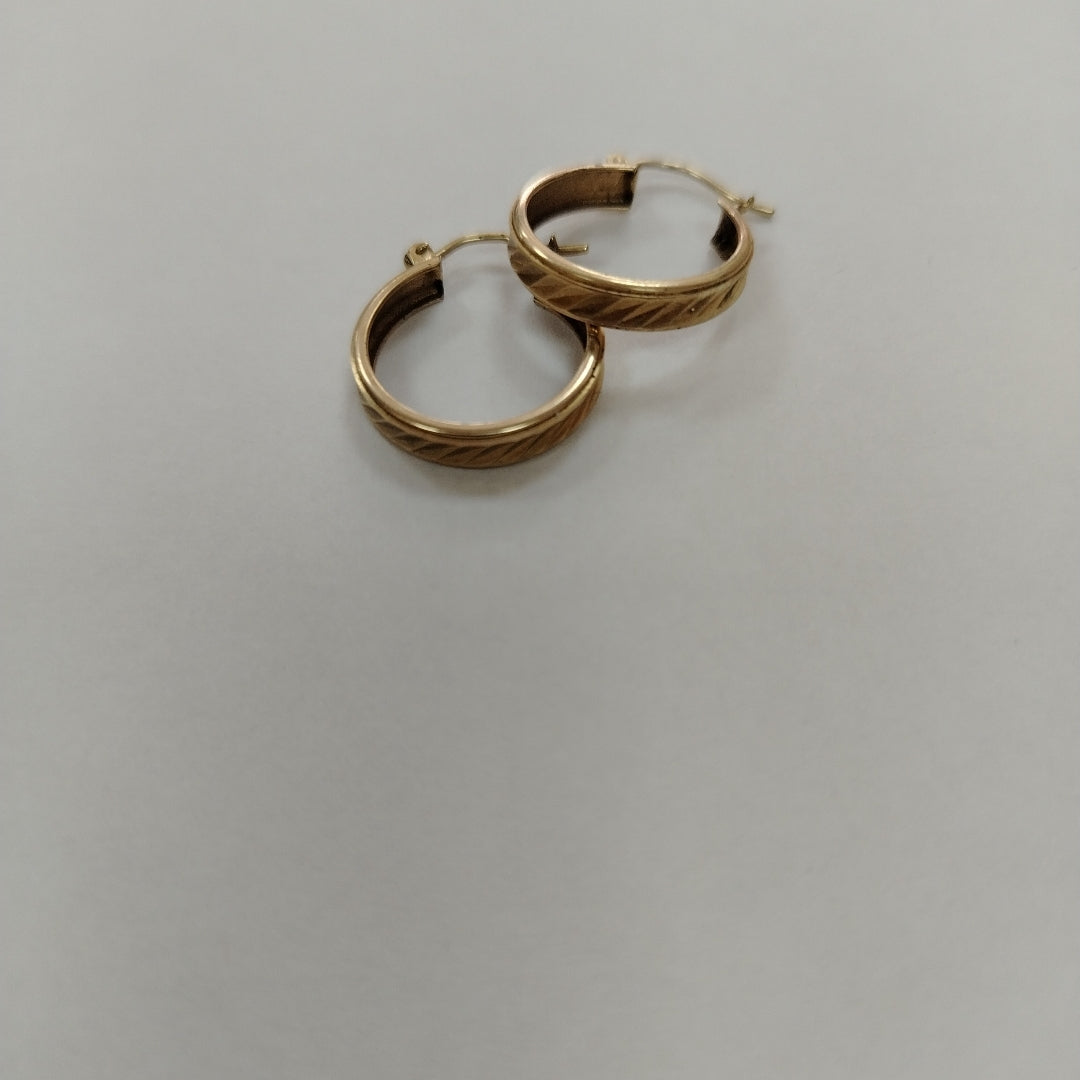 ARETES PAR ORO 10 K 2 GRMS (SEMINUEVO)