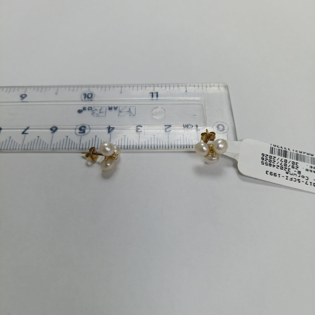 ARETES PAR ORO 14 K 1.3 GRMS (SEMINUEVO)