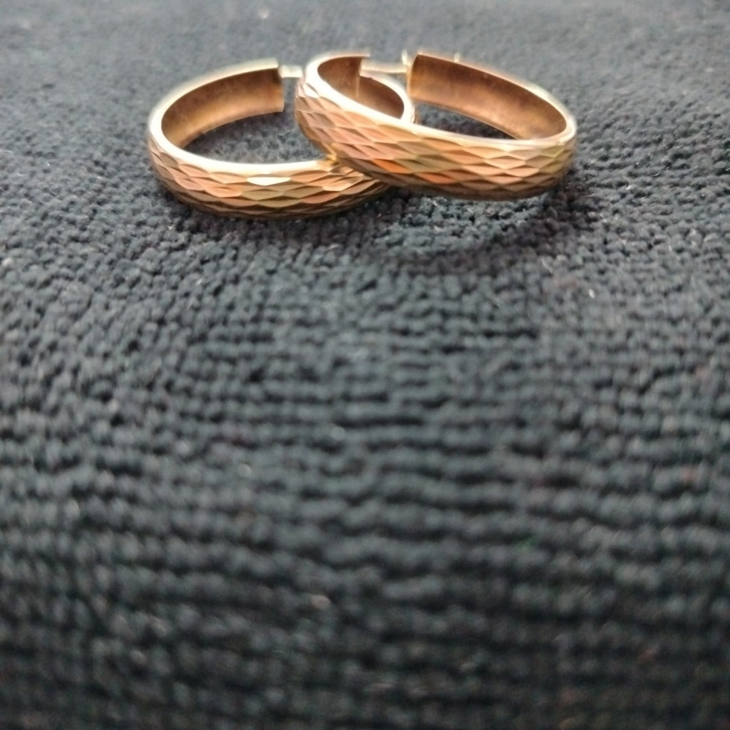 ARRACADAS PAR ORO 10 K 3.2 GRMS (SEMINUEVO)