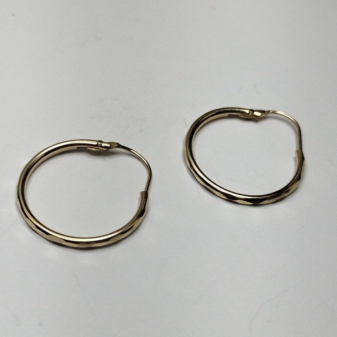 ARRACADAS PAR ORO 10 K 0.9 GRMS (SEMINUEVO)