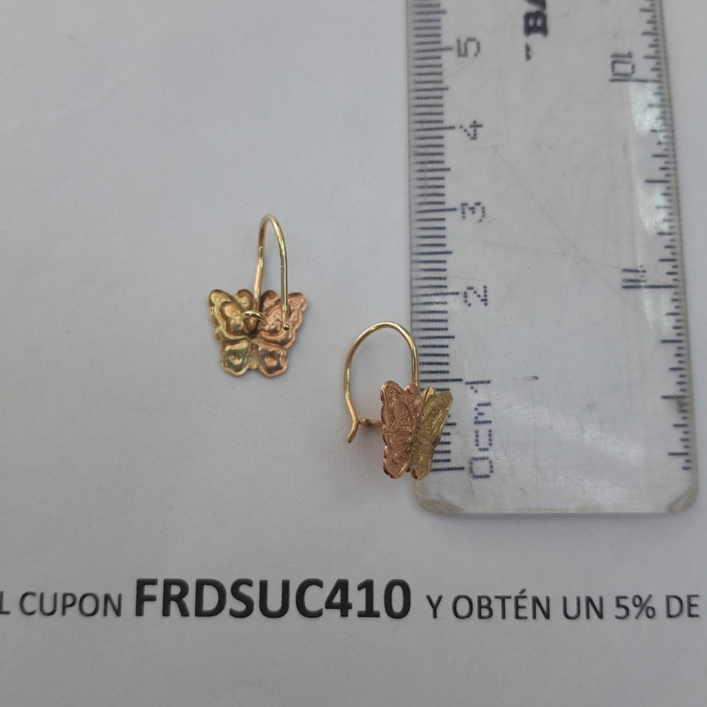 ARETES PAR ORO 10 K 1 GRMS (SEMINUEVO)