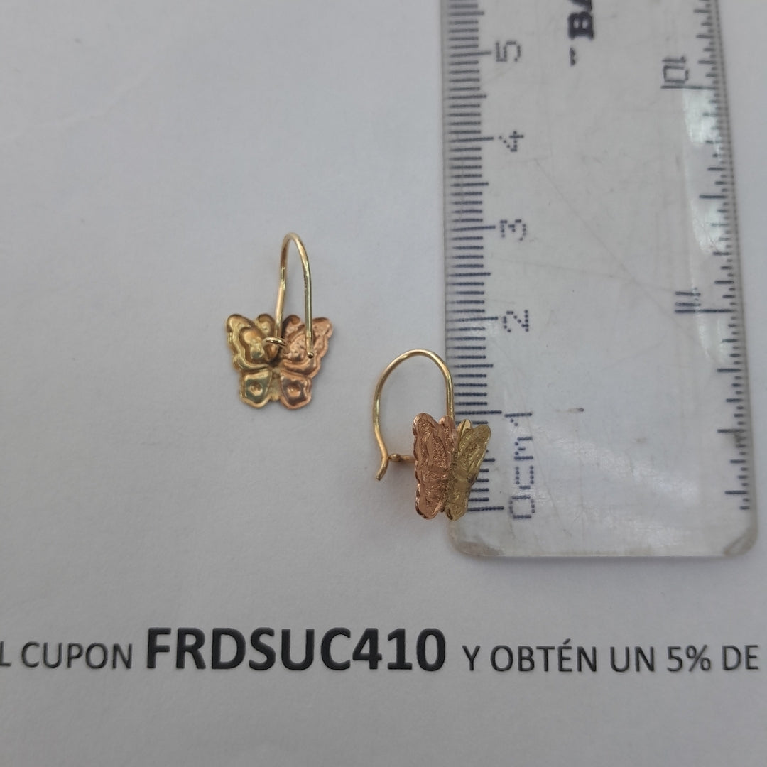 ARETES PAR ORO 10 K 1 GRMS (SEMINUEVO)