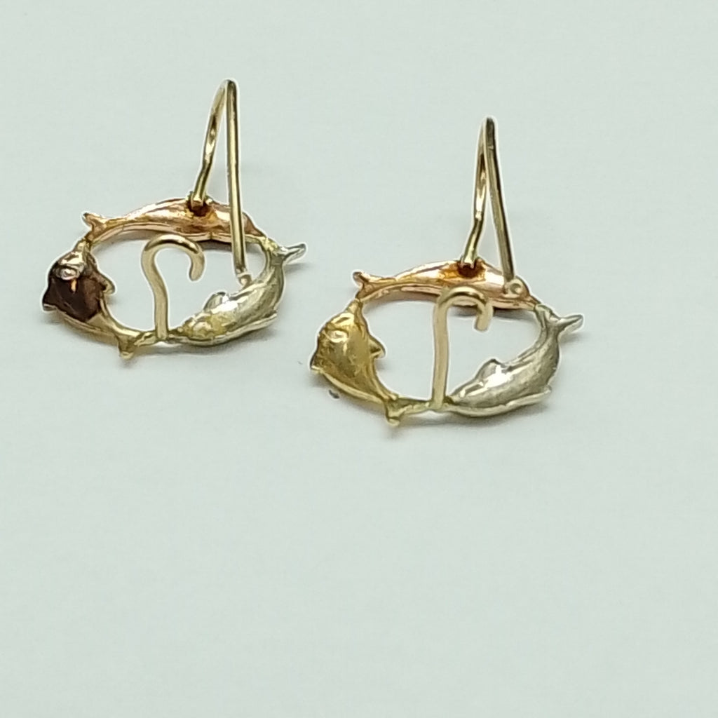 ARETES PAR ORO 10 K 2.2 GRMS (SEMINUEVO)