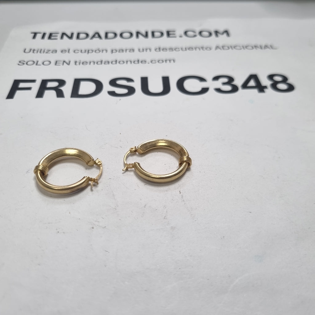 ARRACADAS PAR ORO 10 K 4 GRMS (SEMINUEVO)