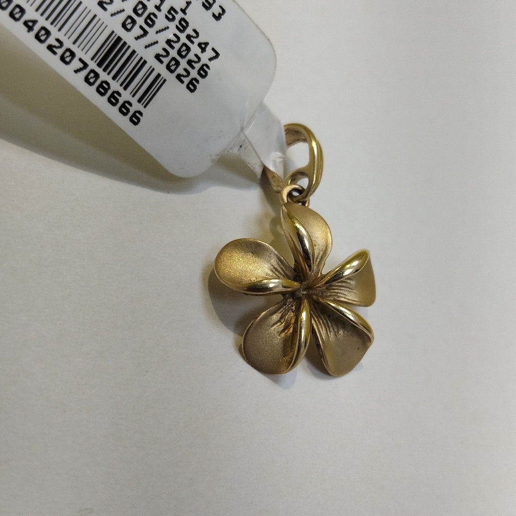 DIJE ORO 10 K 2.4 GRMS (SEMINUEVO)