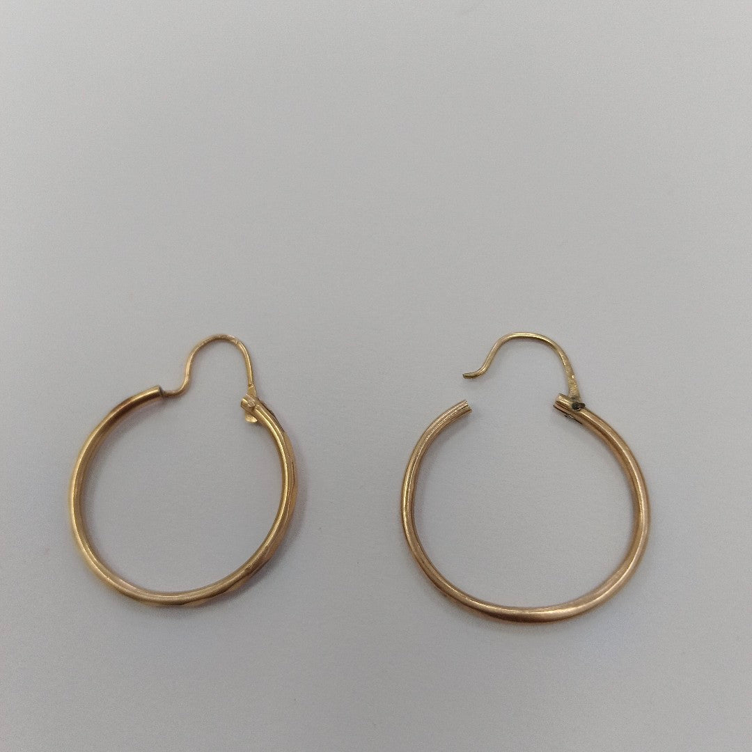 ARRACADAS PAR ORO 10 K 1.8 GRMS (SEMINUEVO)