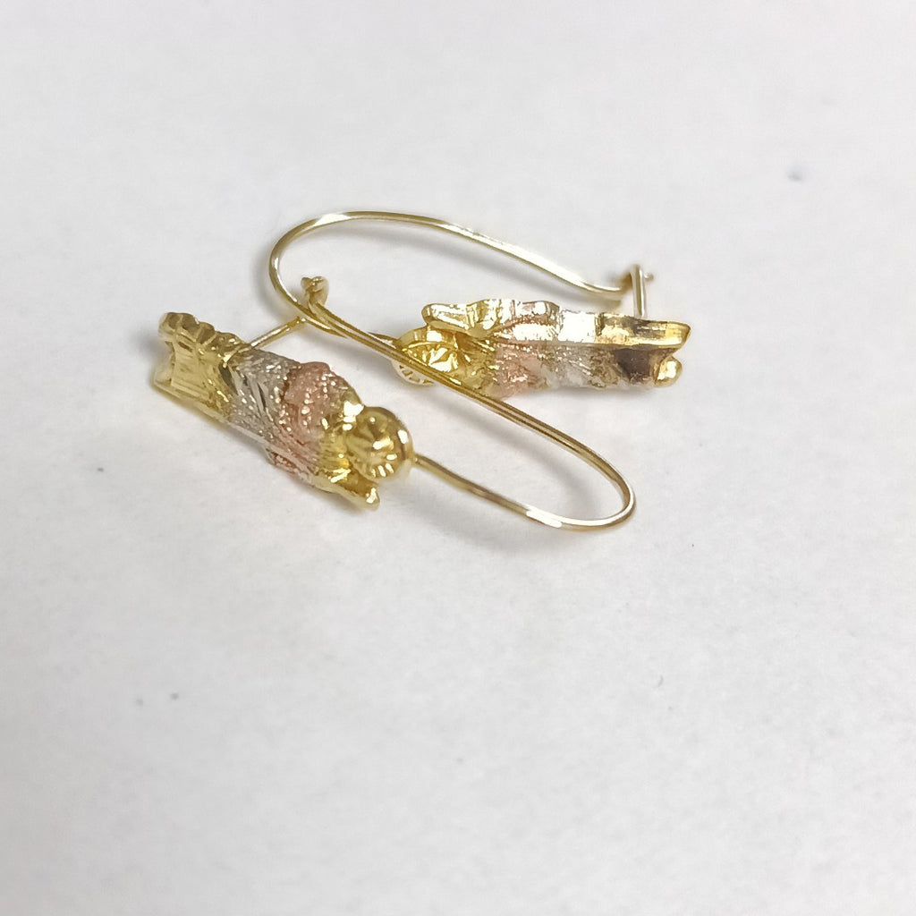 ARETES PAR ORO 10 K 1 GRMS (SEMINUEVO)