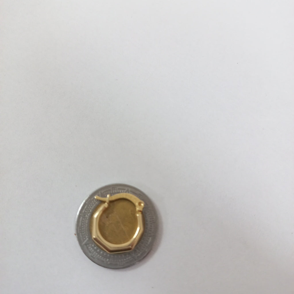 ARRACADAS ORO 14K 1 (NUEVO)