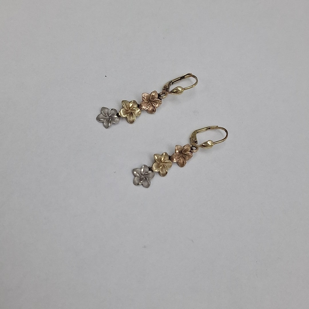 ARETES PAR ORO 10 K 2.8 GRMS (SEMINUEVO)