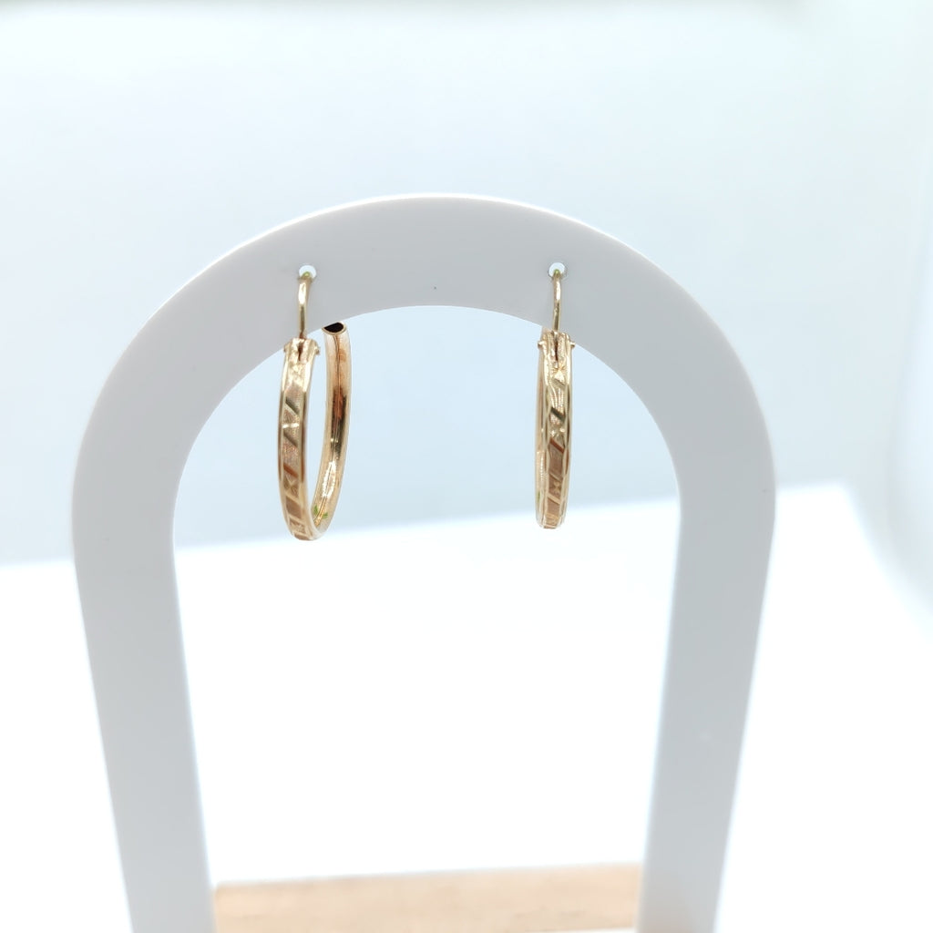 ARRACADAS PAR ORO 10 K 1.8 GRMS (SEMINUEVO)