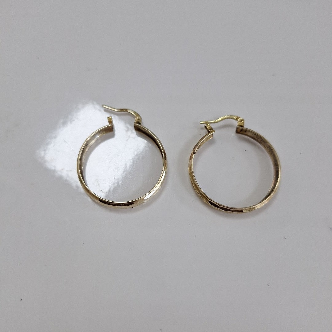 ARRACADAS PAR ORO 10 K 3 GRMS (SEMINUEVO)