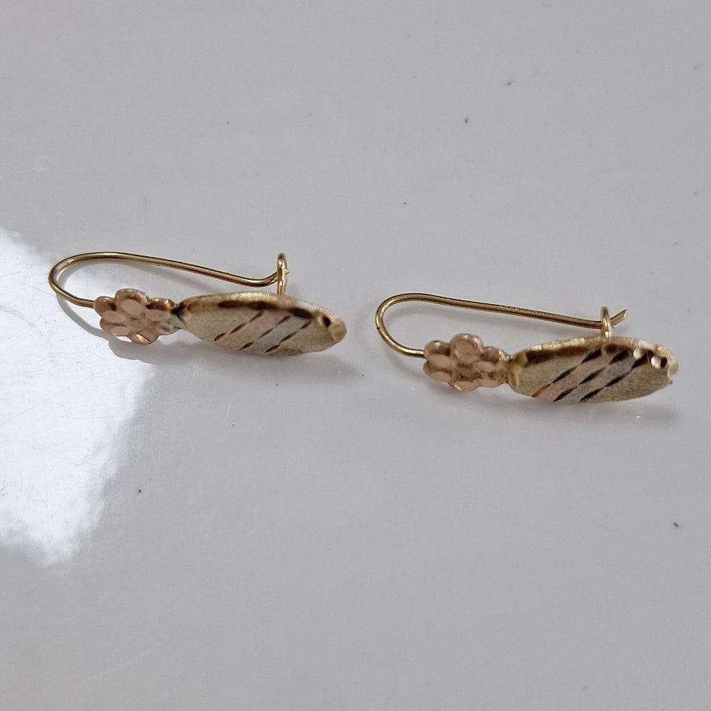 ARETES PAR ORO 10 K 1 GRMS (SEMINUEVO)