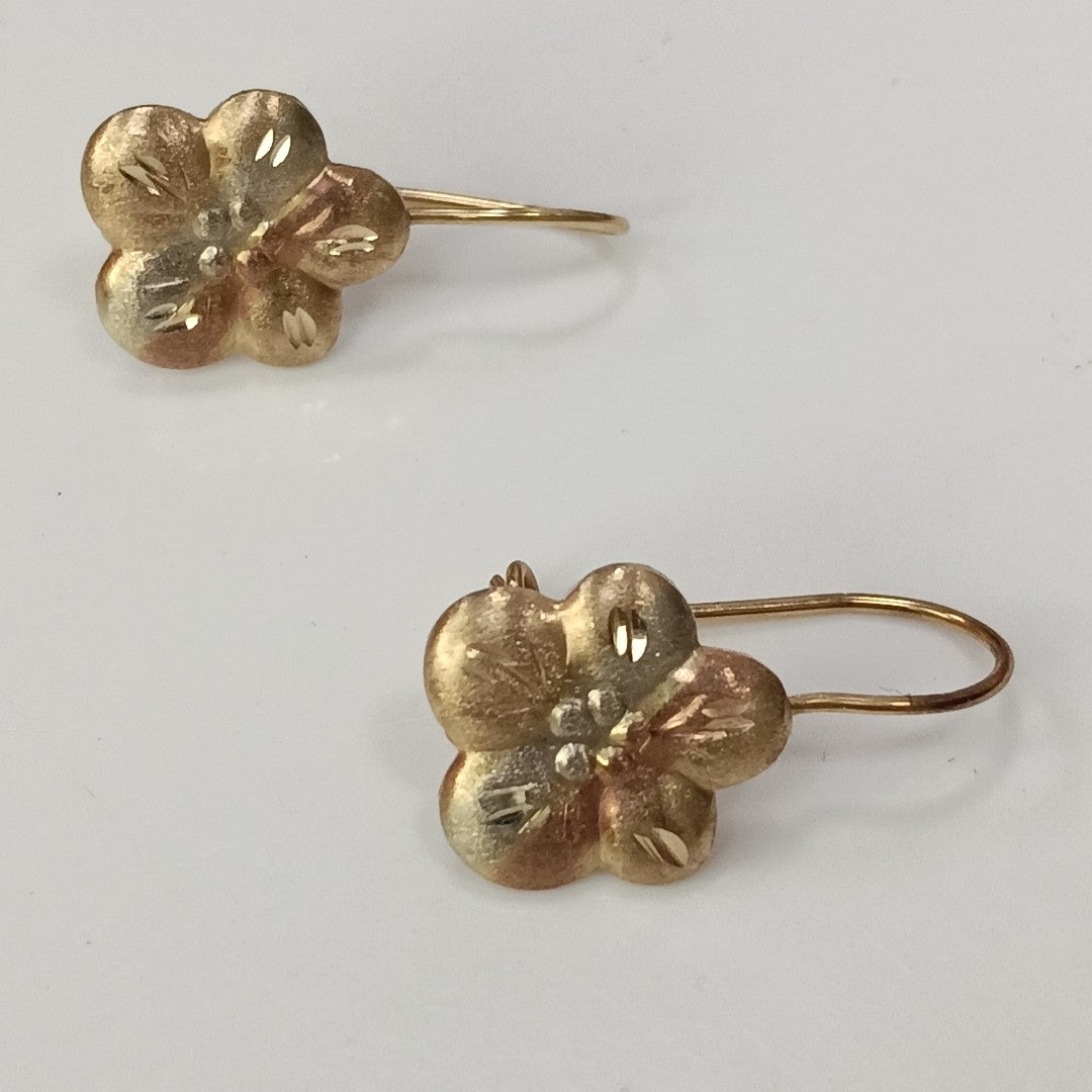 ARETES PAR ORO 10 K 1.1 GRMS (SEMINUEVO)