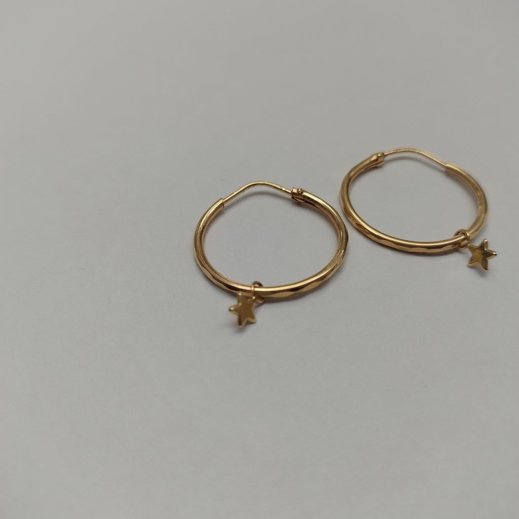 ARRACADAS PAR ORO 10 K 1.1 GRMS (SEMINUEVO)