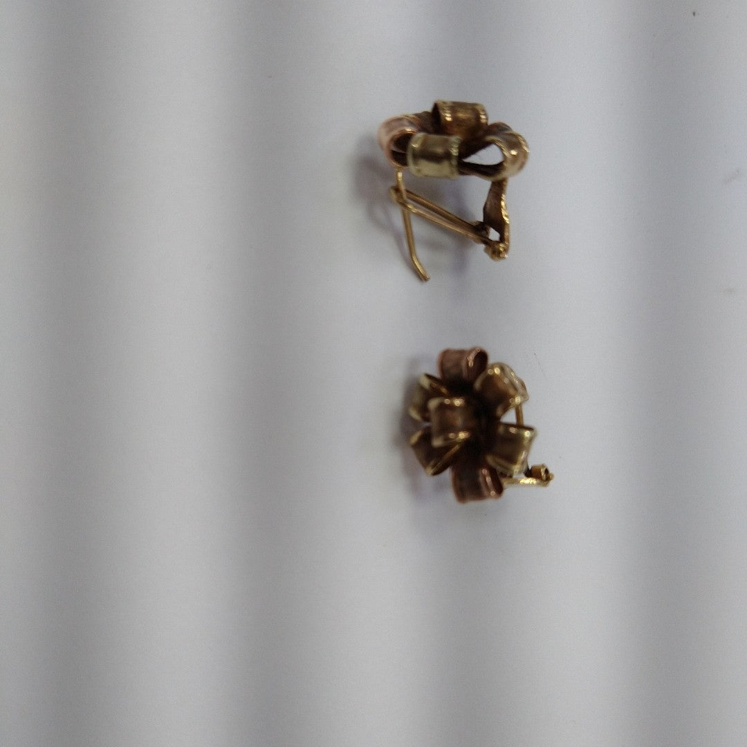 ARETES PAR ORO 10 K 3.1 GRMS (SEMINUEVO)