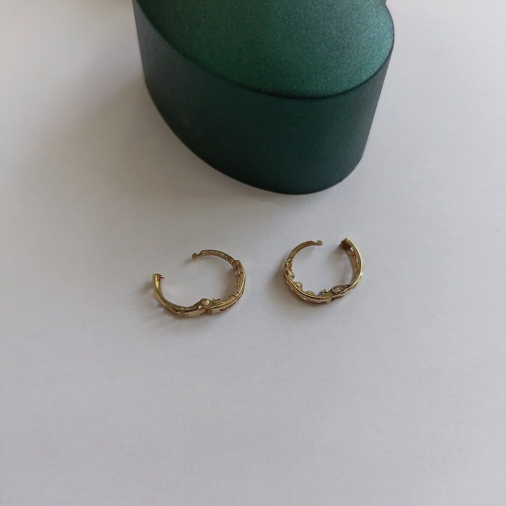 ARRACADAS PAR ORO 10 K 0.7 GRMS (SEMINUEVO)