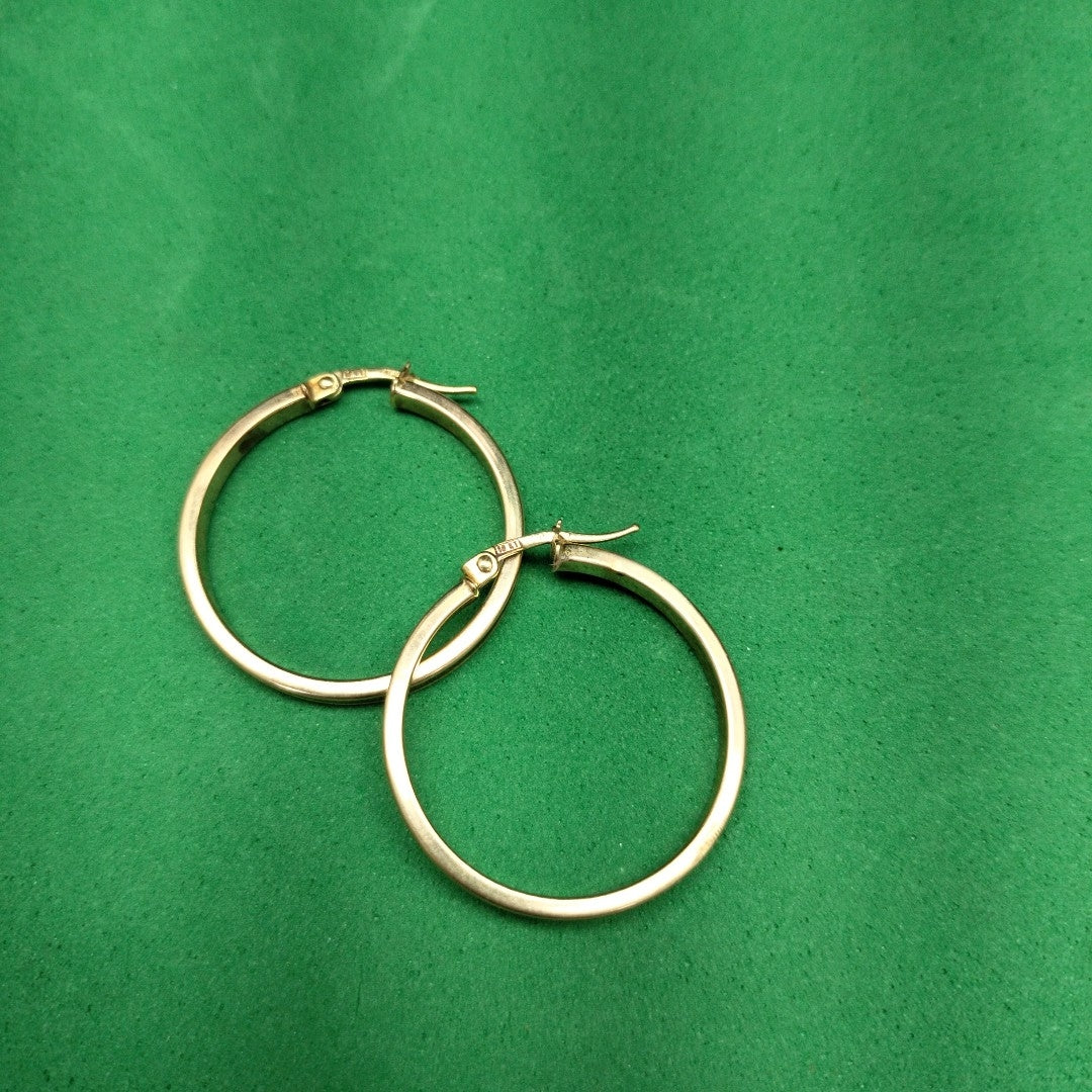 ARRACADAS PAR ORO 10 K 2.5 GRMS (SEMINUEVO)
