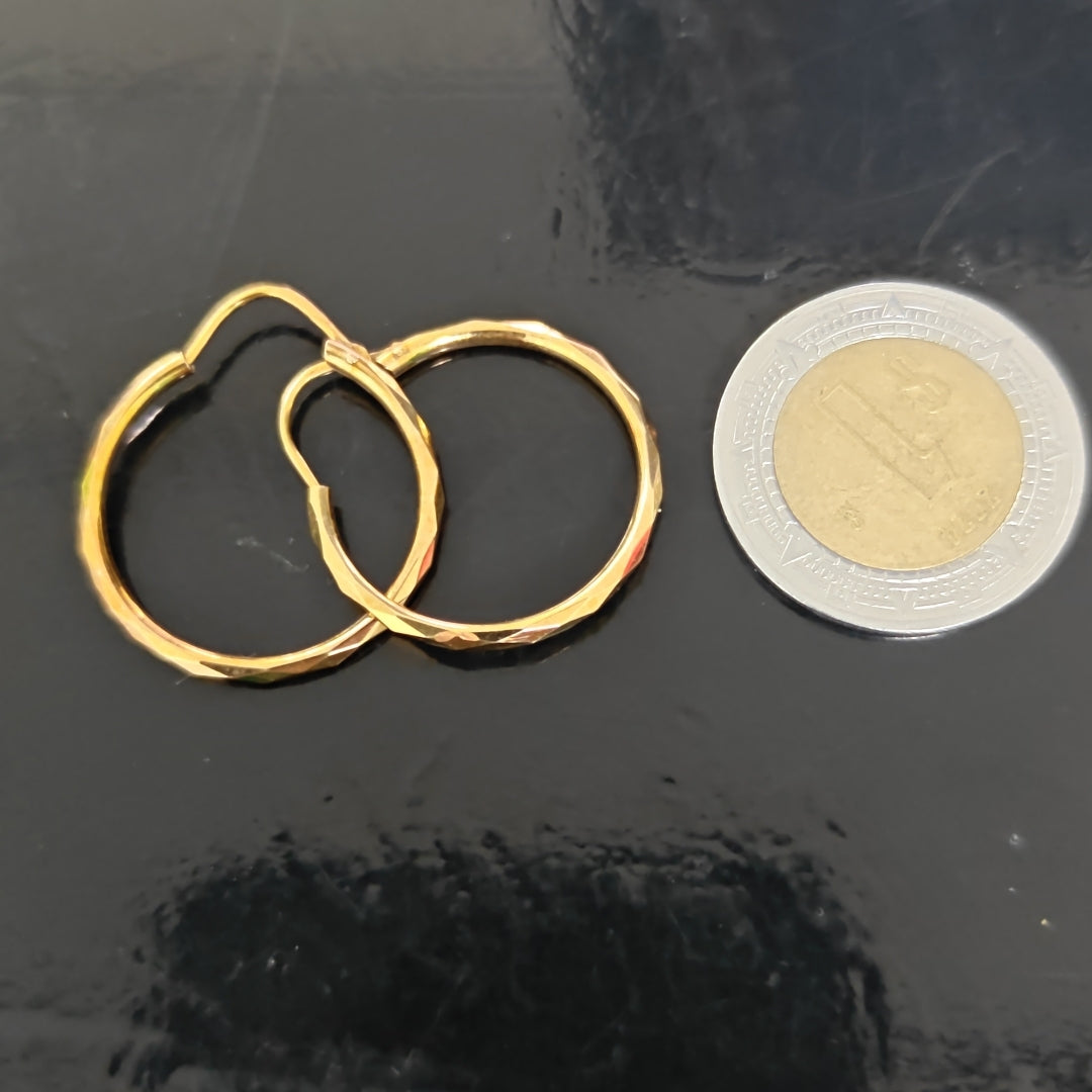ARETES PAR ORO 10 K 1.6 GRMS (SEMINUEVO)