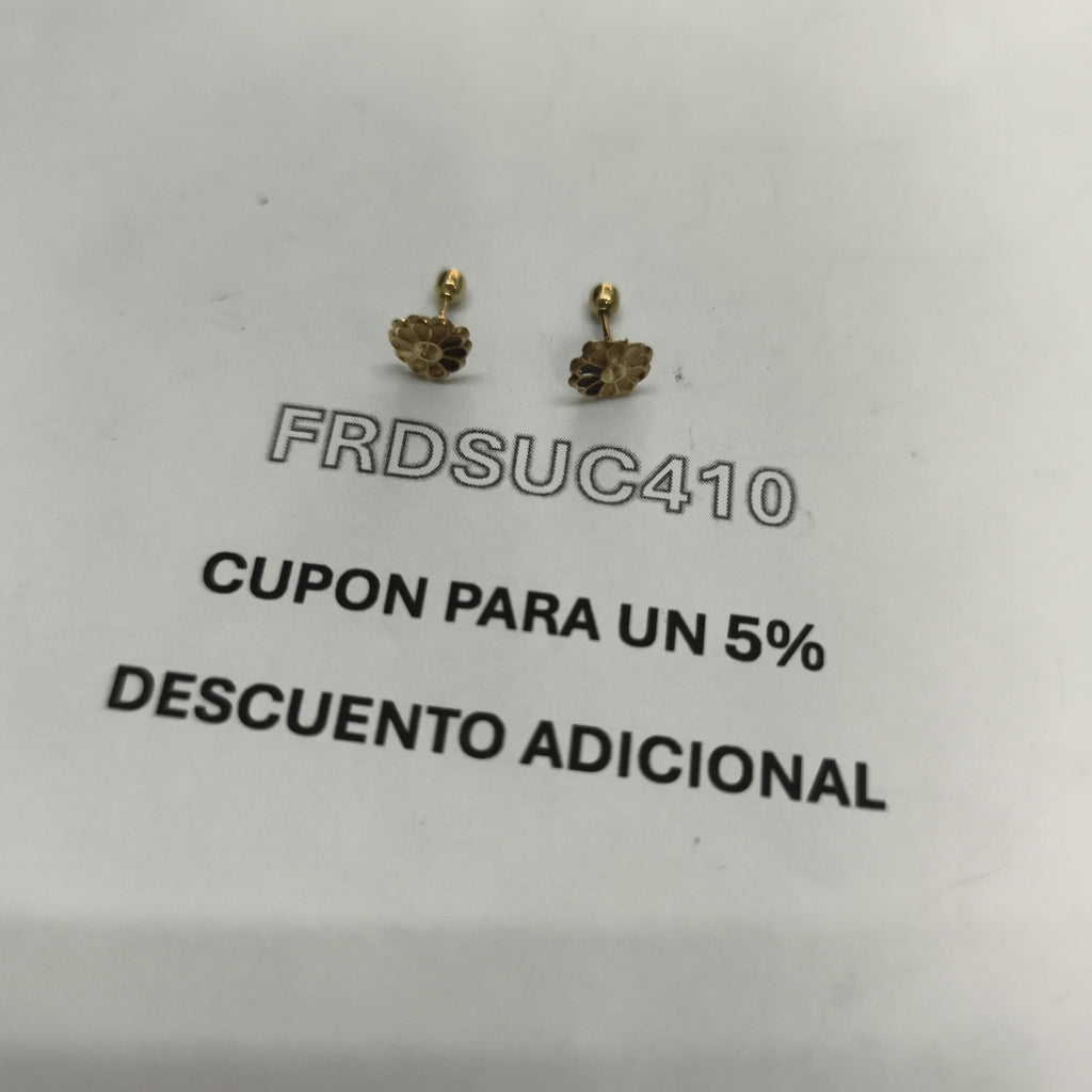 BROQUELES PAR ORO 10 K 0.2 GRMS (SEMINUEVO)