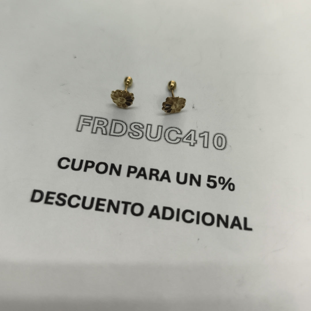BROQUELES PAR ORO 10 K 0.2 GRMS (SEMINUEVO)