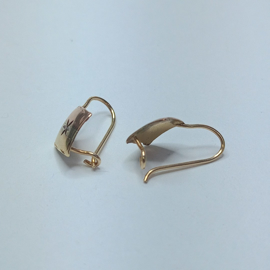 ARETES PAR ORO 10 K 0.8 GRMS (SEMINUEVO)