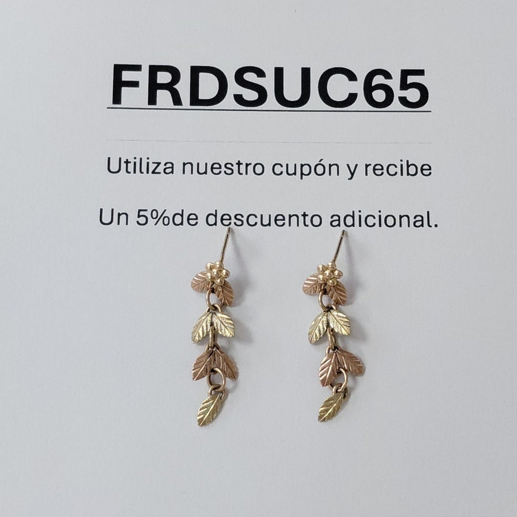 ARETES PAR ORO COMBINADO 10 K 1,30 GRMS (SEMINUEVO)