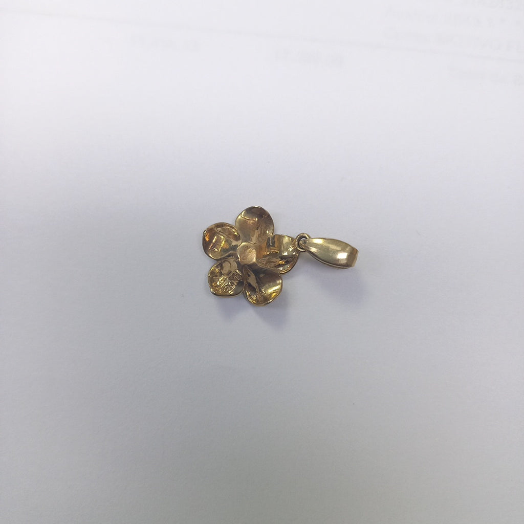 DIJE ORO 14 K 2 GRMS (SEMINUEVO)