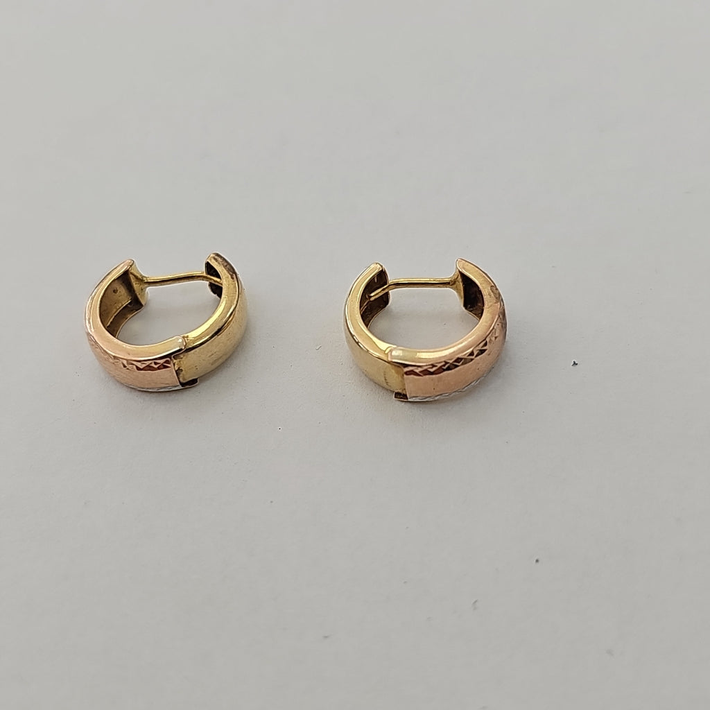 ARRACADAS PAR ORO 10 K 1,21 GRMS (SEMINUEVO)