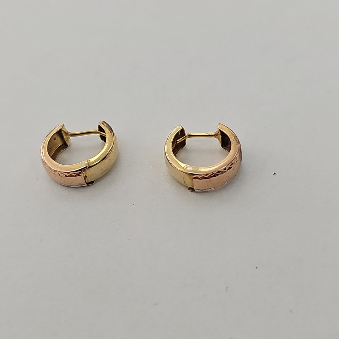ARRACADAS PAR ORO 10 K 1,21 GRMS (SEMINUEVO)