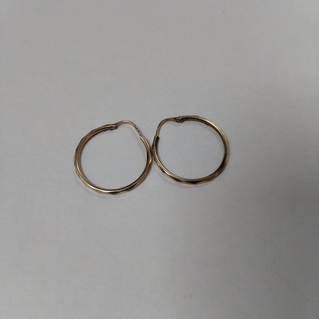 ARRACADAS PAR ORO 10 K 1.2 GRMS (SEMINUEVO)