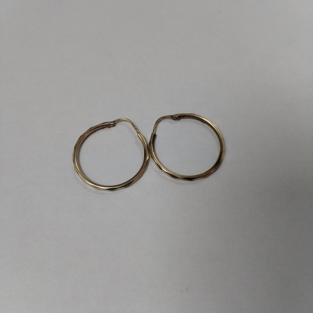 ARRACADAS PAR ORO 10 K 1.2 GRMS (SEMINUEVO)