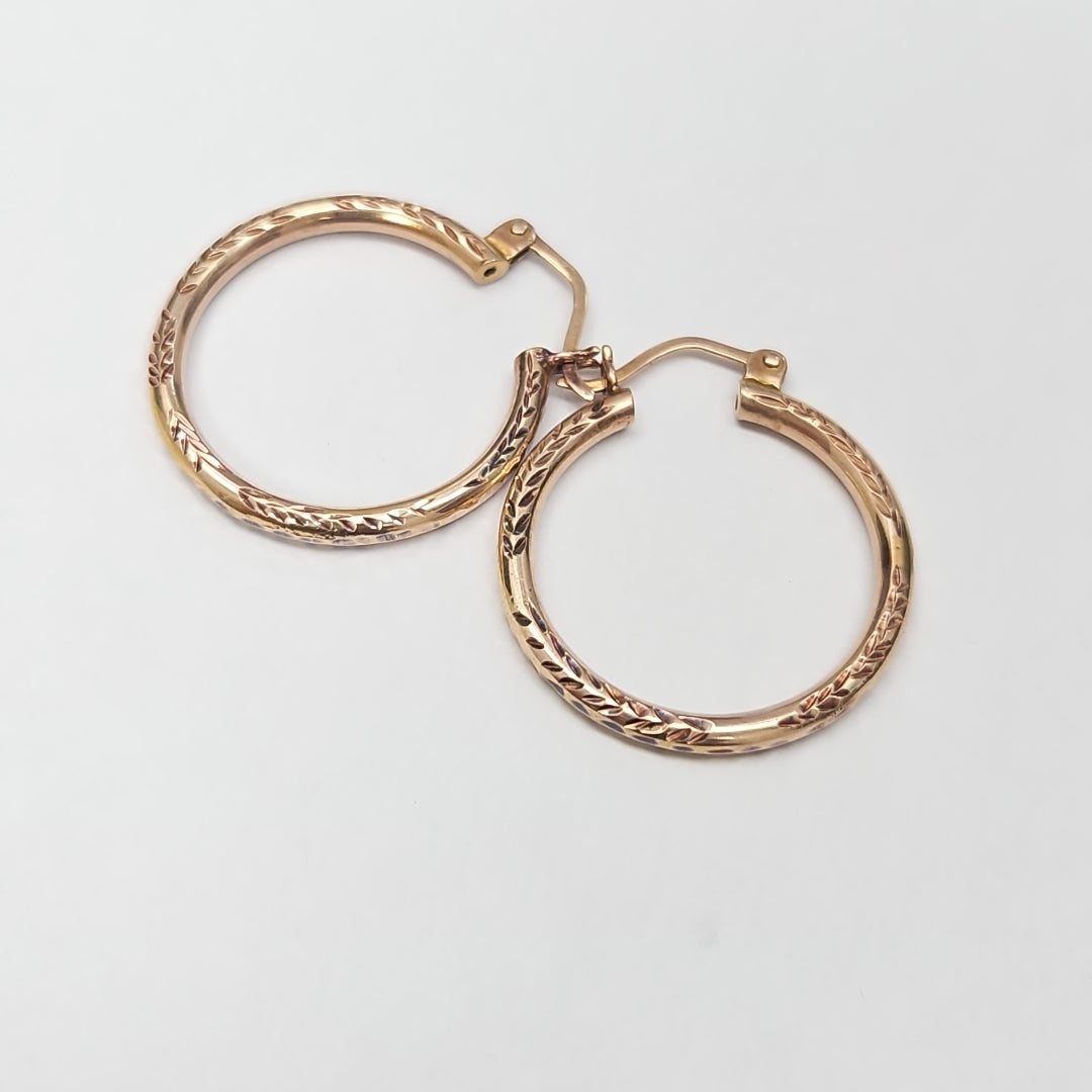 ARETES PAR ORO 10 K 1,00 GRMS (SEMINUEVO)