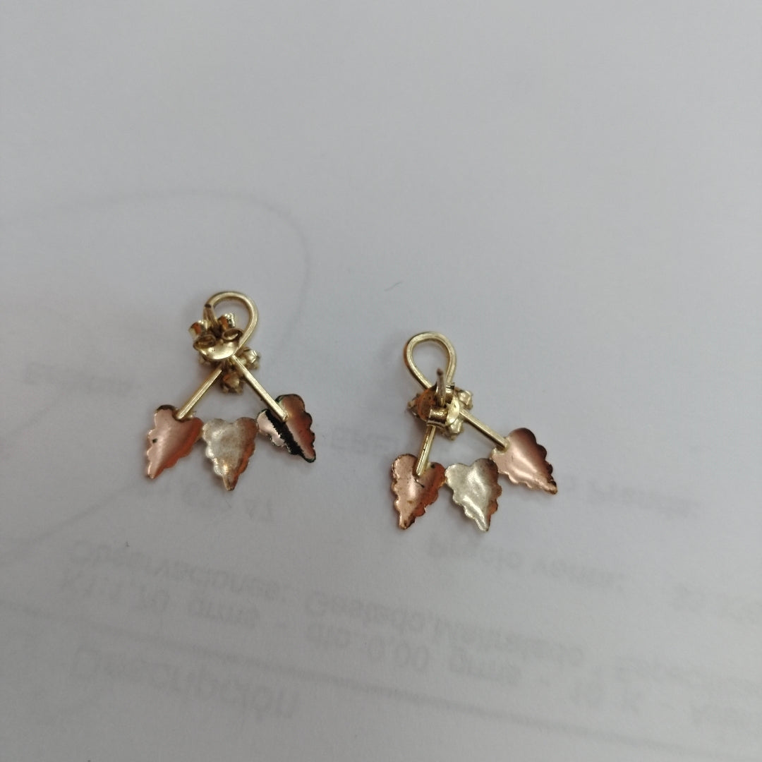 BROQUELES PAR ORO 10 K 1,40 GRMS (SEMINUEVO)
