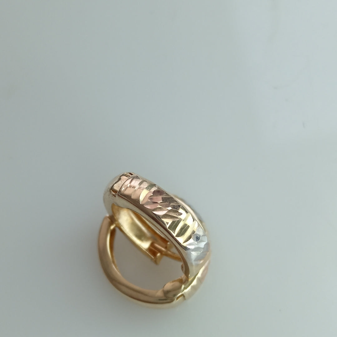 ARETES PAR ORO 10 K 1.2 GRMS (SEMINUEVO)