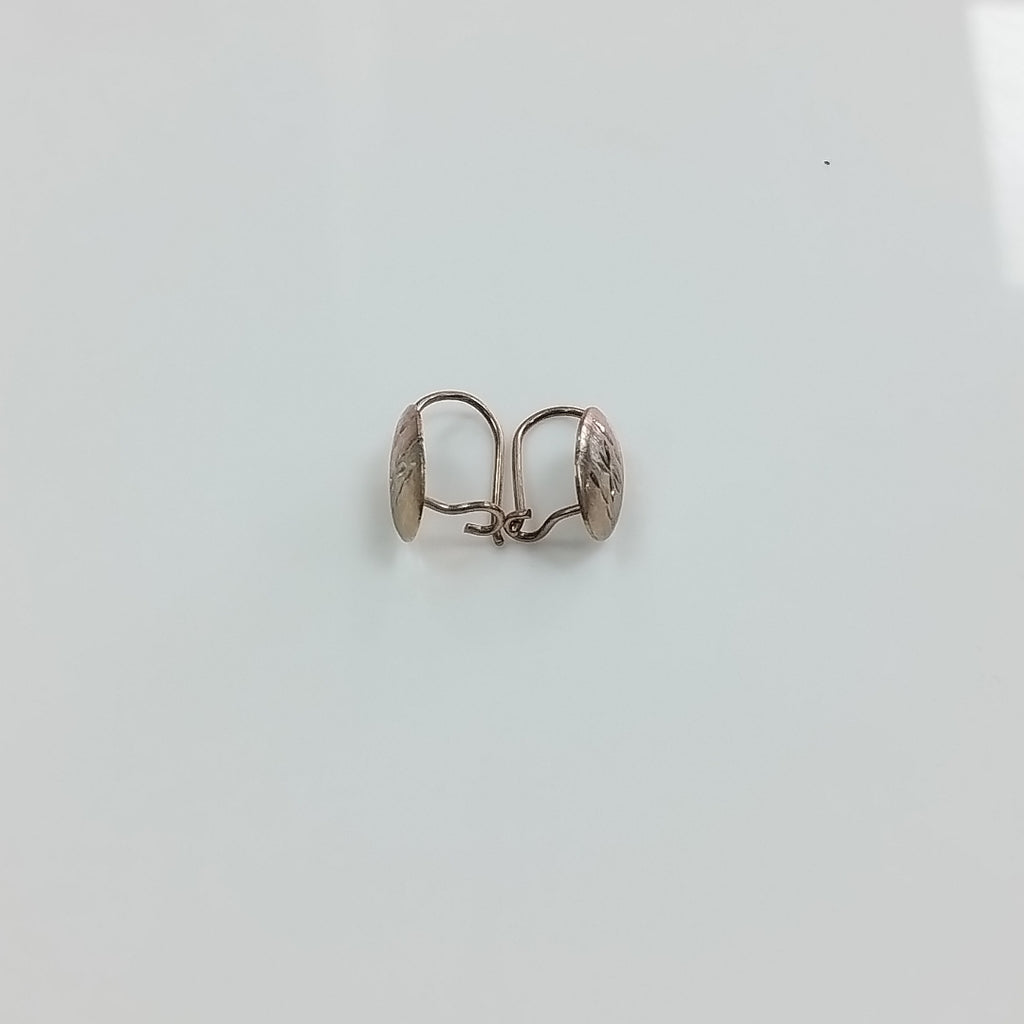 ARETES PAR ORO 10 K 1 GRMS (SEMINUEVO)
