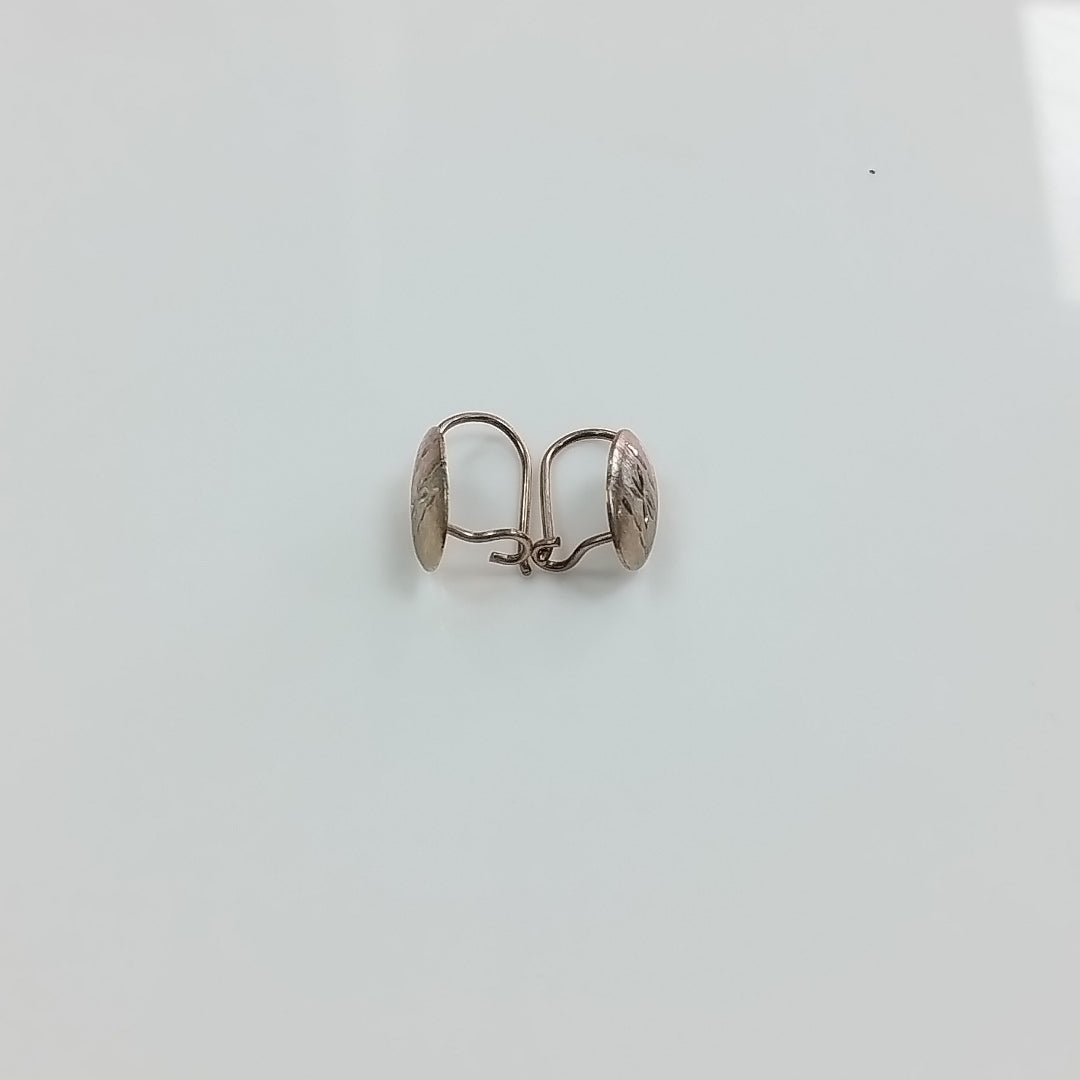 ARETES PAR ORO 10 K 1 GRMS (SEMINUEVO)