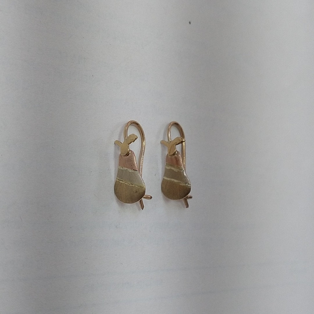 ARETES PAR ORO 10 K 1 GRMS (SEMINUEVO)