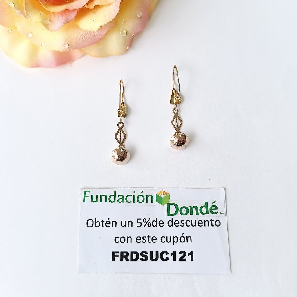 ARETES PAR ORO 10 K 2.3 GRMS (SEMINUEVO)