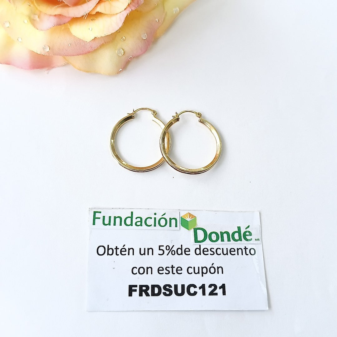 ARRACADAS PAR ORO 10 K 4,40 GRMS (SEMINUEVO)