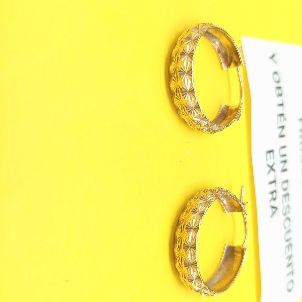 ARRACADAS PAR ORO 10 K 2.5 GRMS (SEMINUEVO)