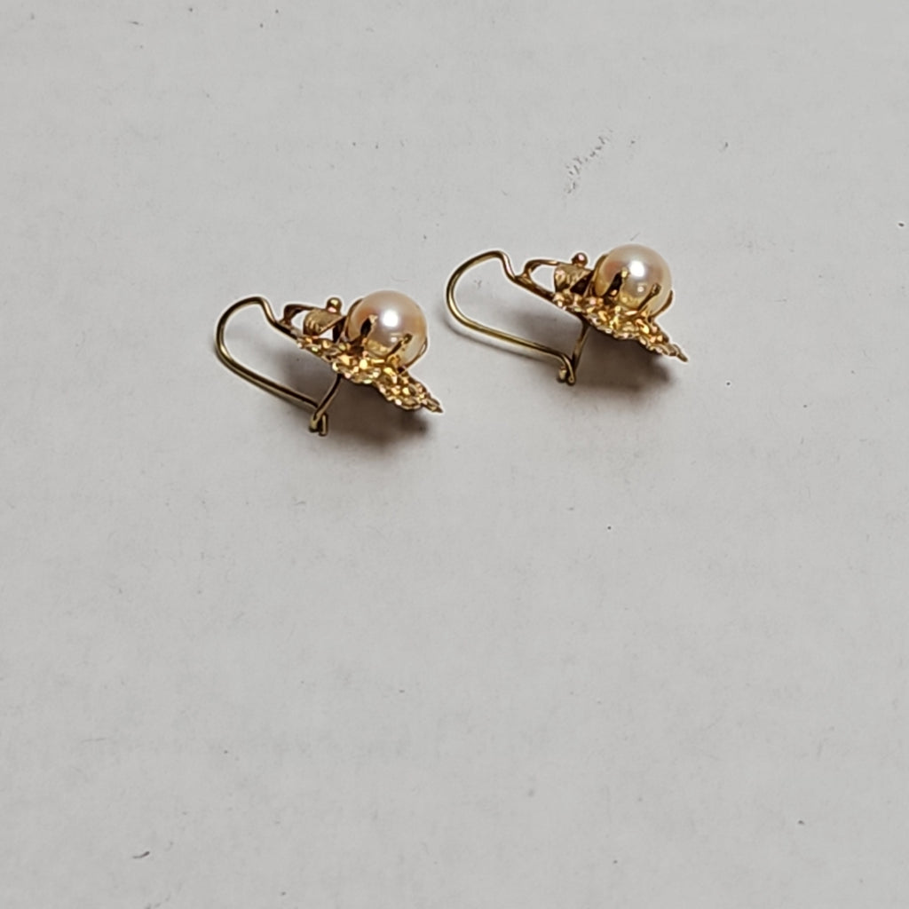 ARETES PAR ORO 14 K 3.1 GRMS (SEMINUEVO)