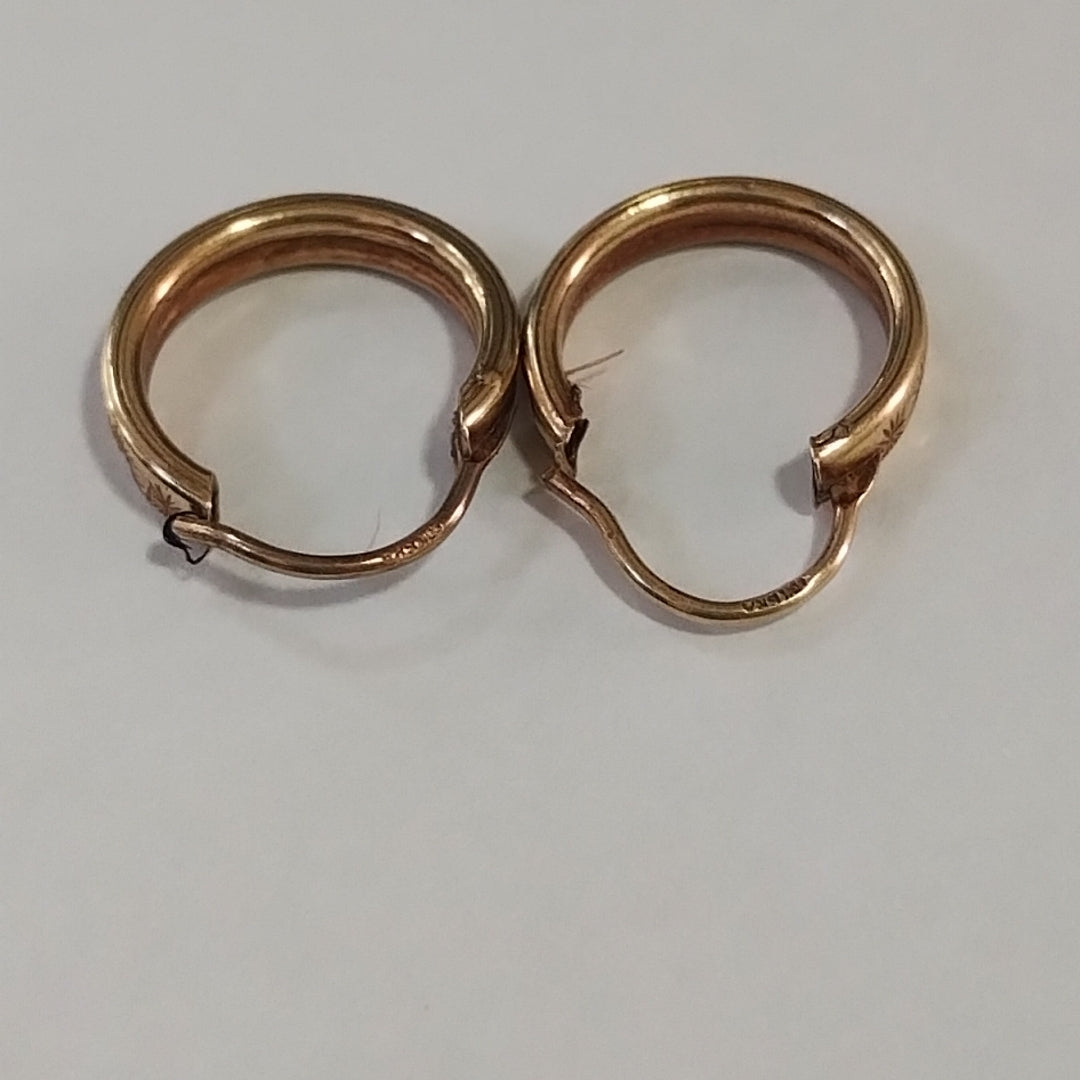 ARRACADAS PAR ORO 10 K 1.3 GRMS (SEMINUEVO)