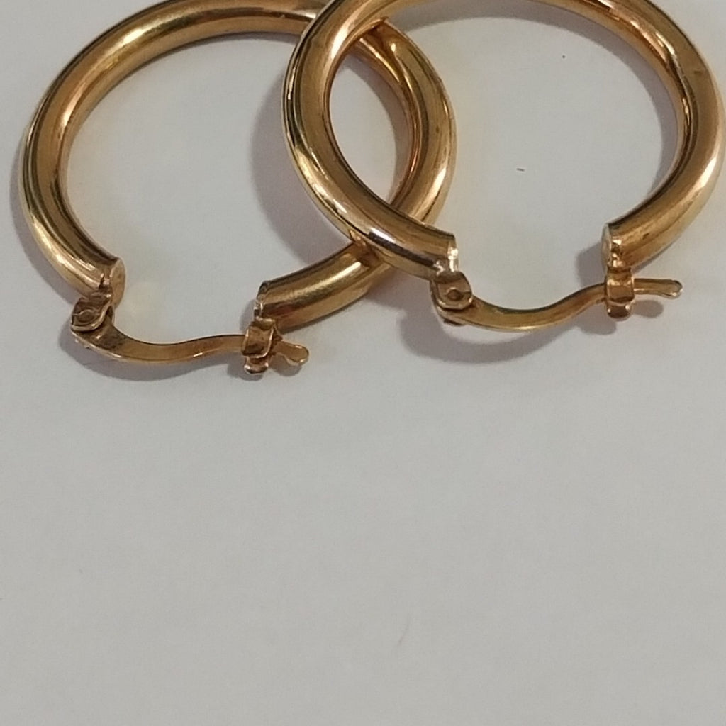 ARRACADAS PAR ORO 10 K 2.1 GRMS (SEMINUEVO)