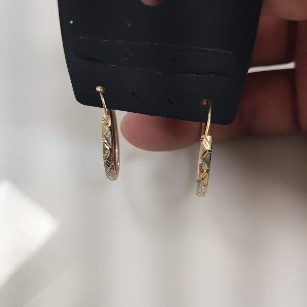 ARRACADAS PAR ORO 10 K 2.2 GRMS (SEMINUEVO)