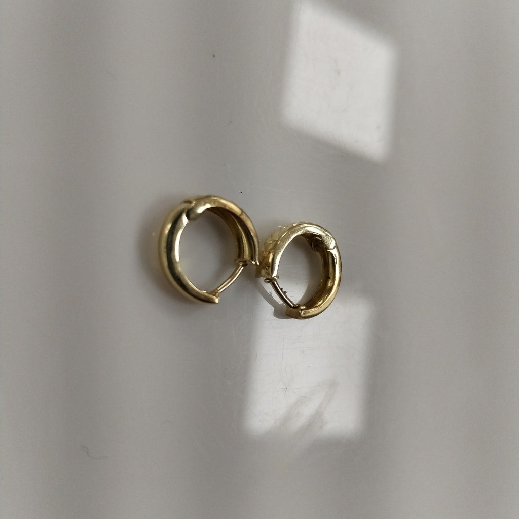 ARRACADAS PAR ORO 10 K 0.9 GRMS (SEMINUEVO)