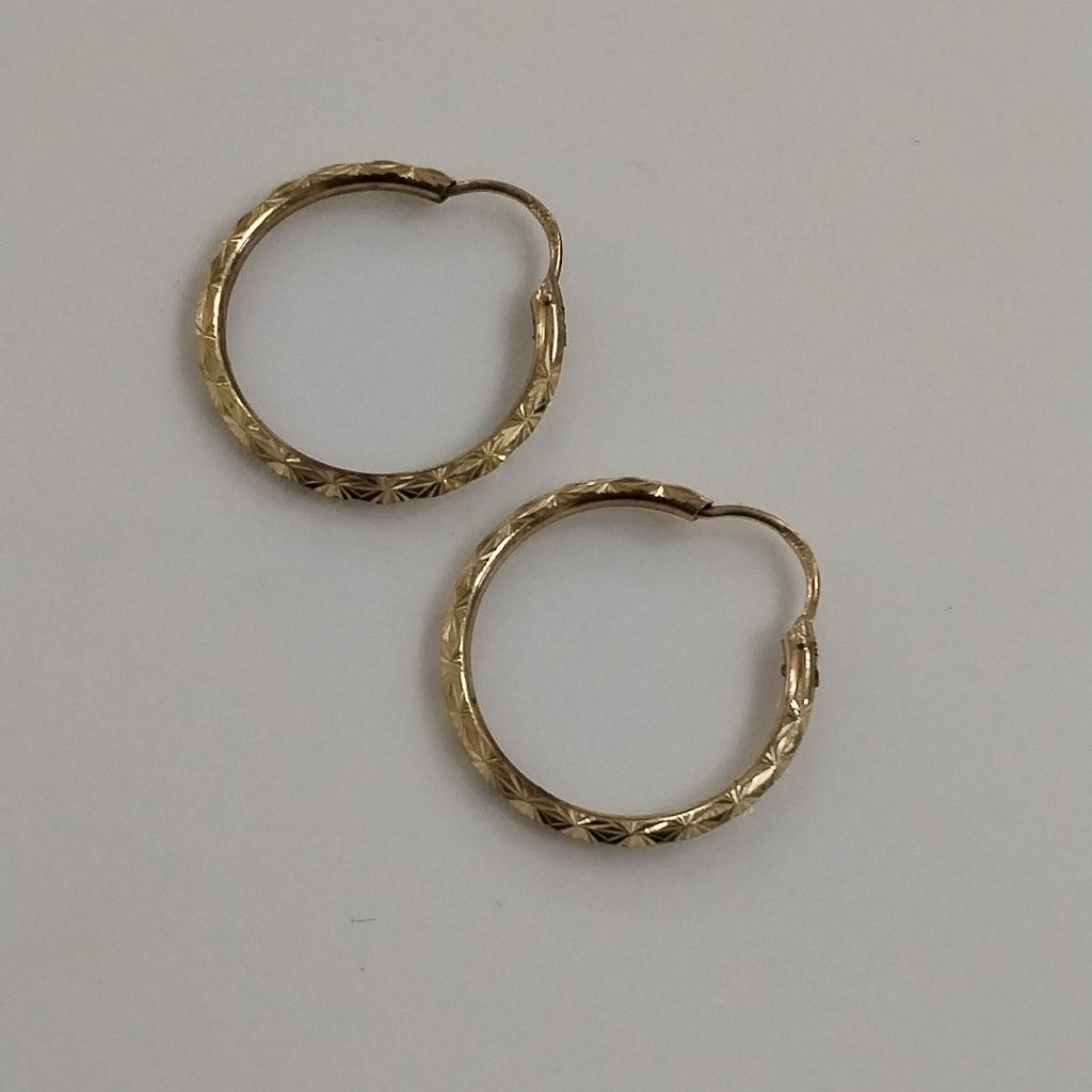 ARRACADAS PAR ORO 10 K 1.7 GRMS (SEMINUEVO)